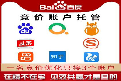 SEM主管实战案例：广告投放策略优化